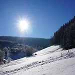 Large House In Winterberg In The Sauerland Region