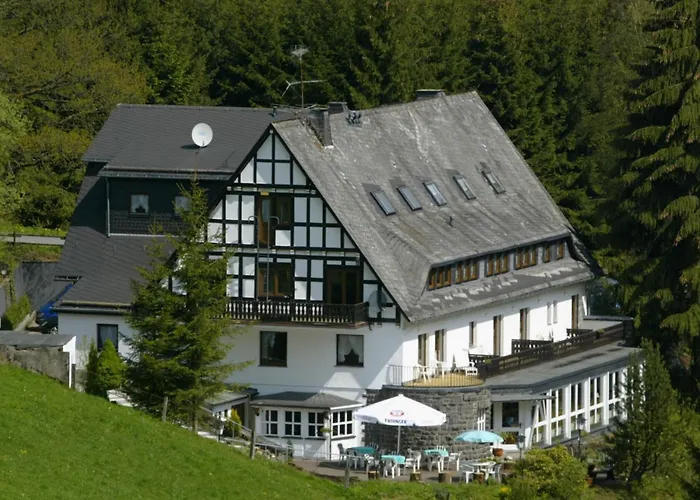 Large House In Winterberg In The Sauerland Region