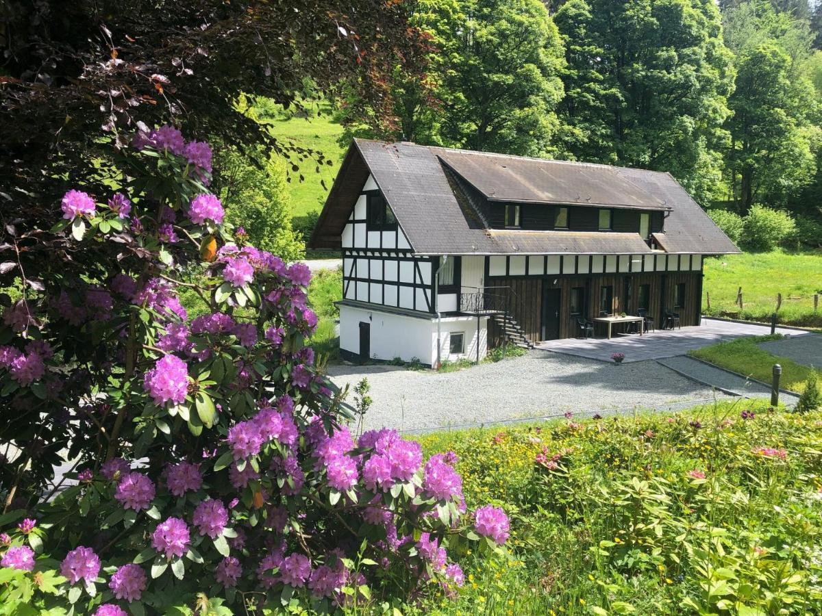 Large House In In The Sauerland Region Ferienhaus