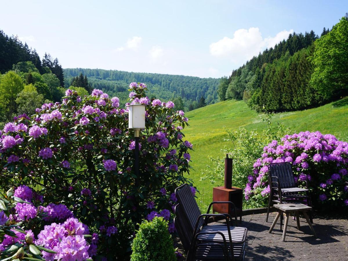 Ferienhaus Large House In In The Sauerland Region Winterberg