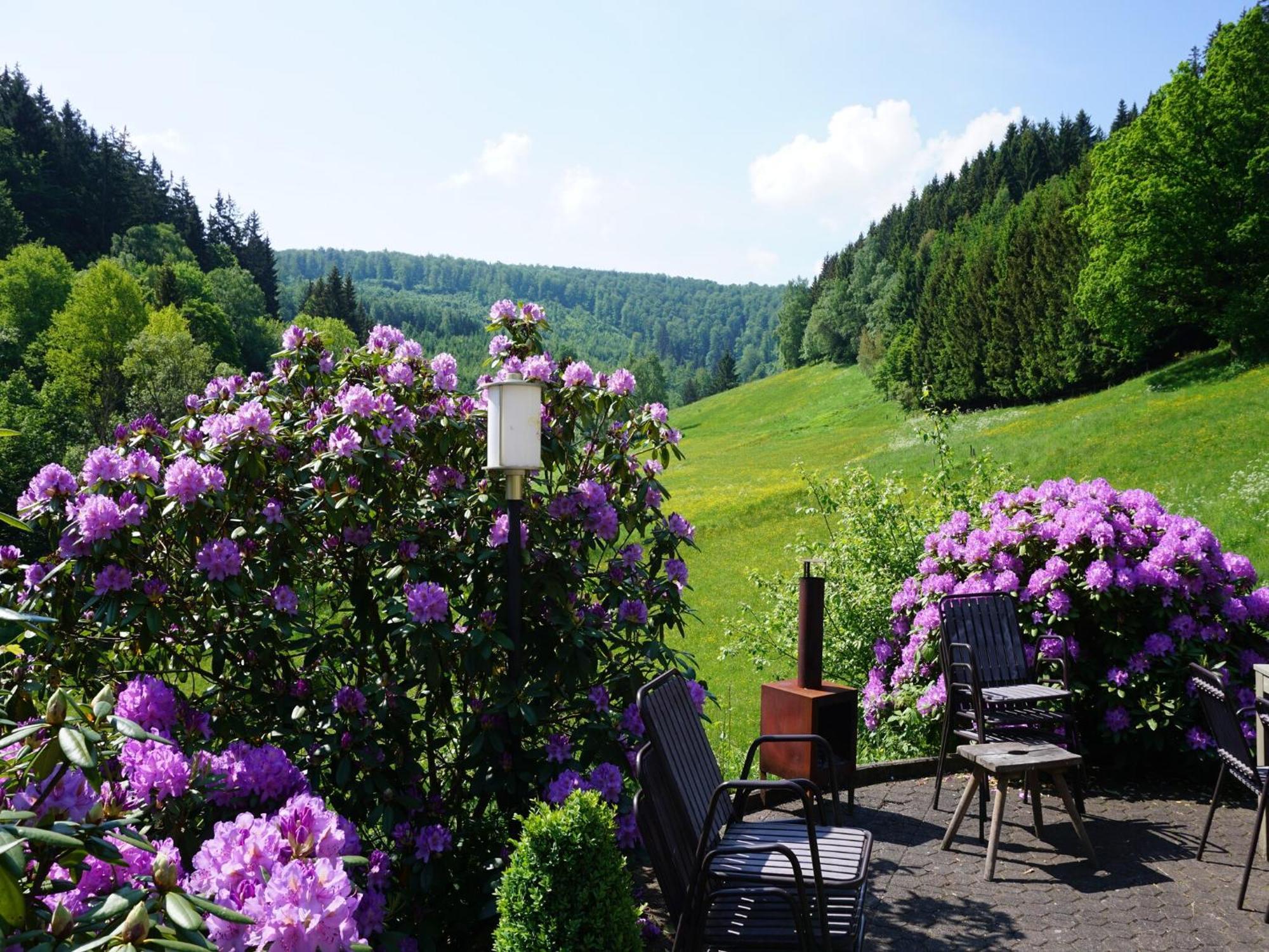 Large House In In The Sauerland Region