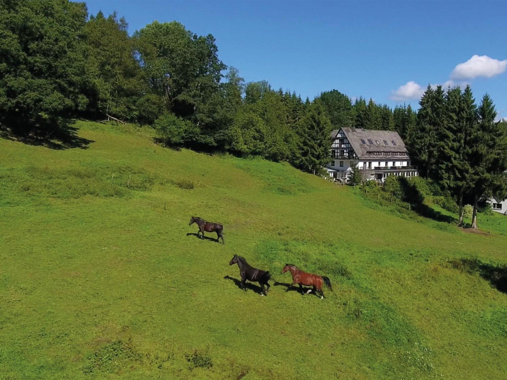 Large House In In The Sauerland Region Ferienhaus Winterberg